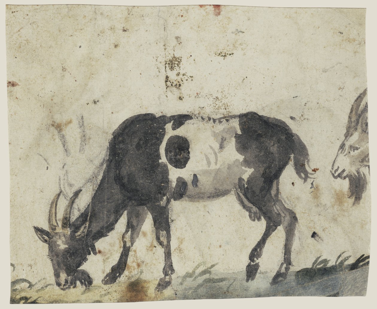 Estudar com cabras de Lucas Cranach the Elder