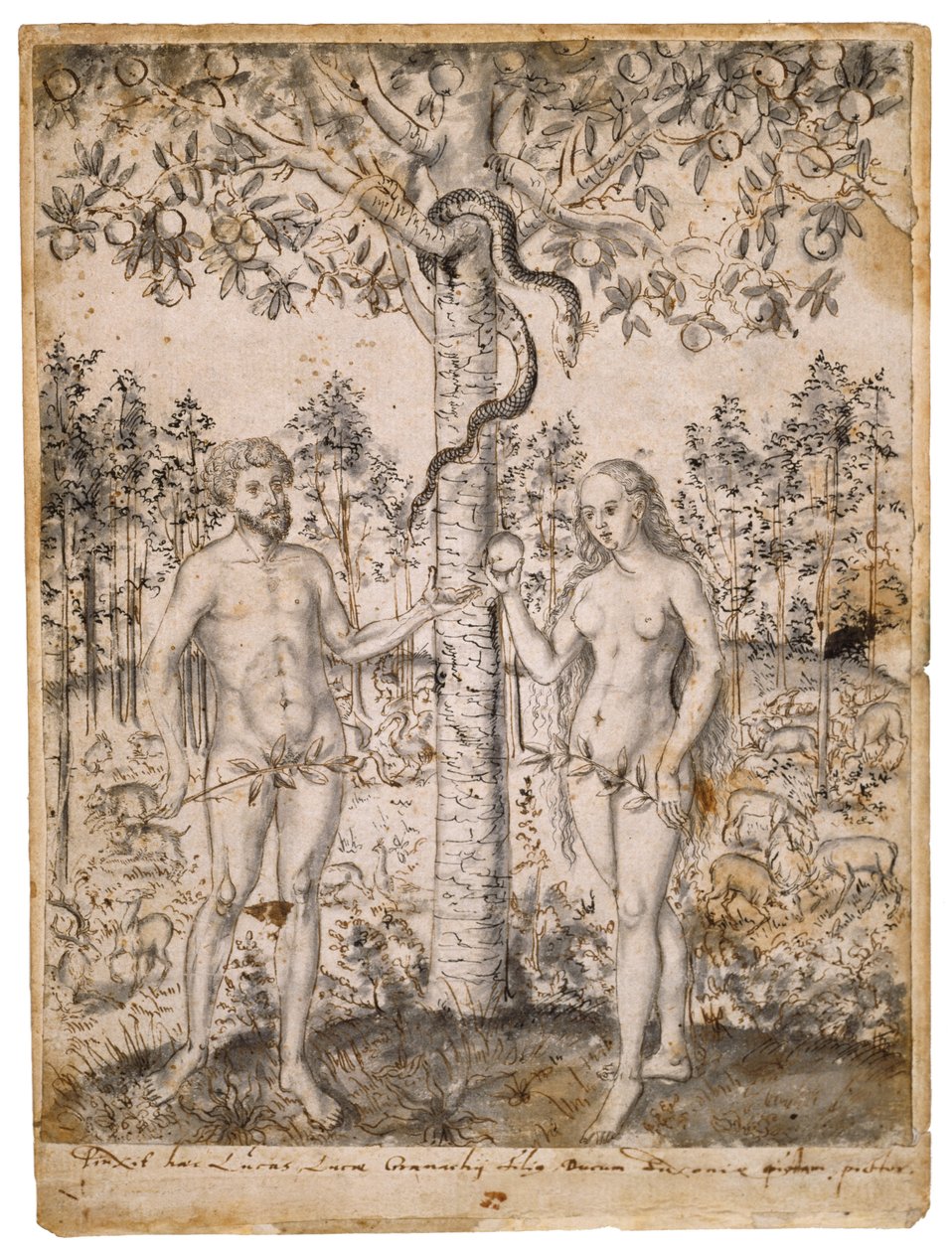 The Fall of Man, após 1549 (caneta, tinta preta e marrom, com tinta preta sobre papel) de Lucas Cranach the Elder