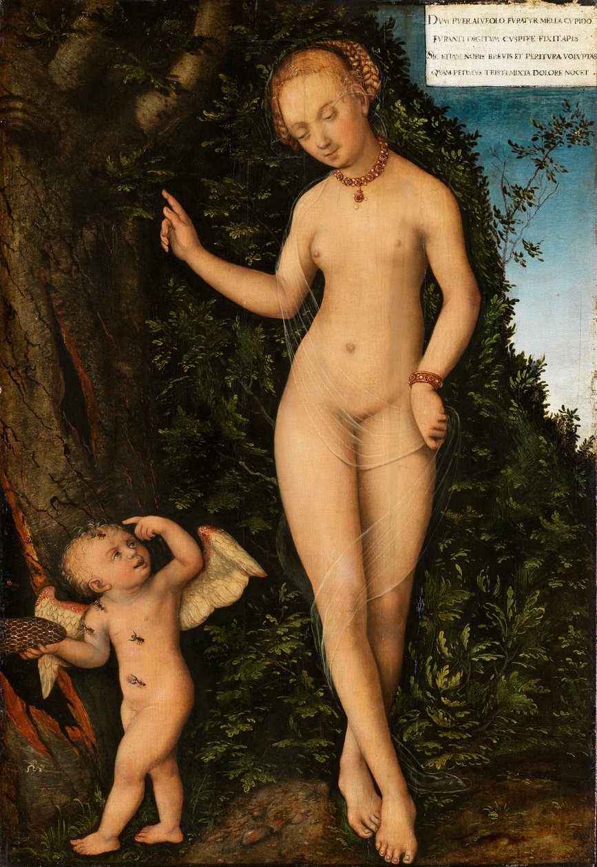 Vênus e Cupido, o ladrão de mel de Lucas Cranach the Elder