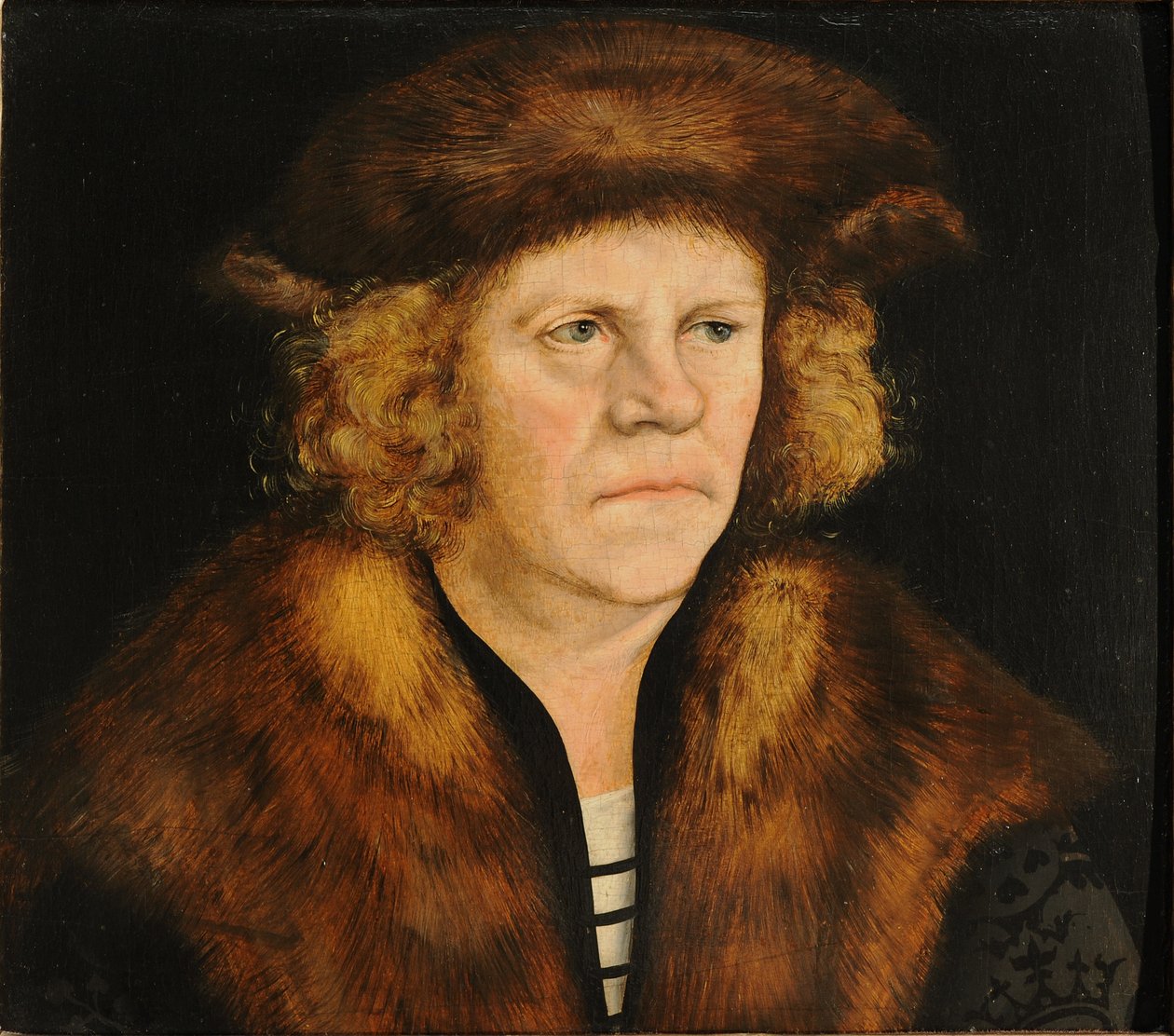 Retrato, de, um, homem, em, um, boina pele de Lucas Cranach the Elder
