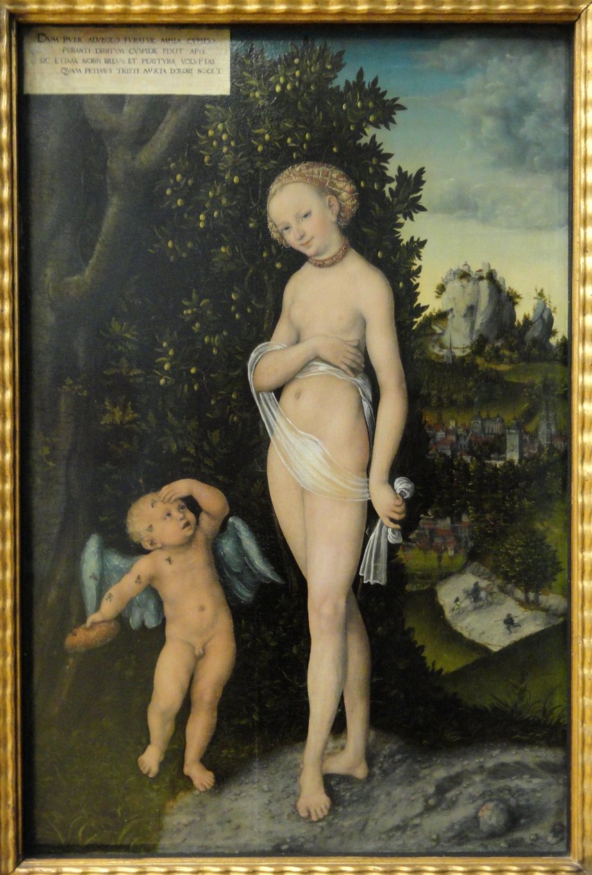 Vênus e Cupido, o ladrão de mel de Lucas Cranach the Elder