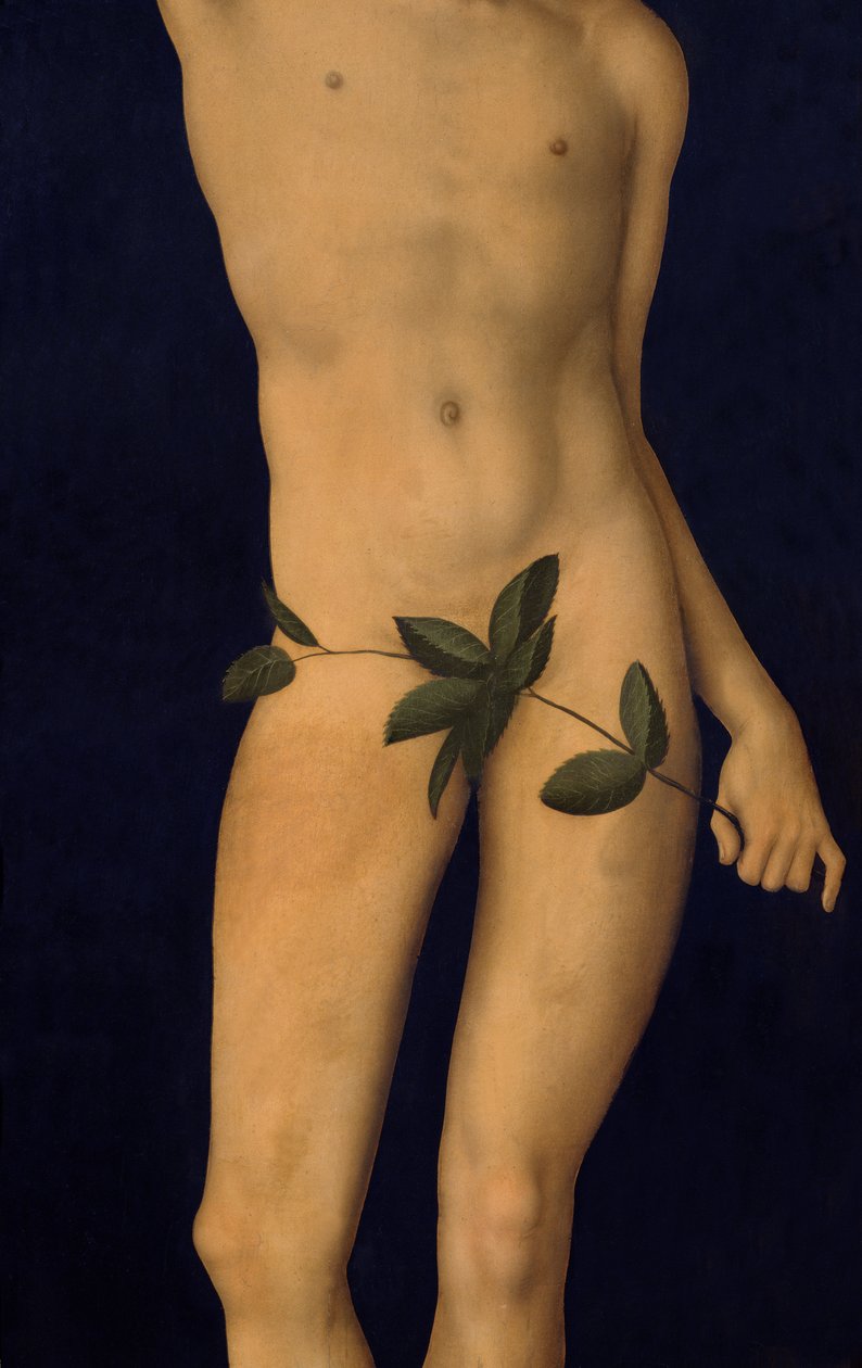 Adam, 1528 óleo no detalhe do painel de 9628 de Lucas Cranach the Elder