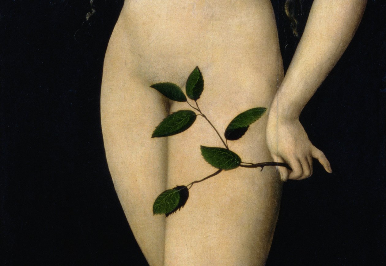 Eva, 1528 (detalhe de 9629) de Lucas Cranach the Elder