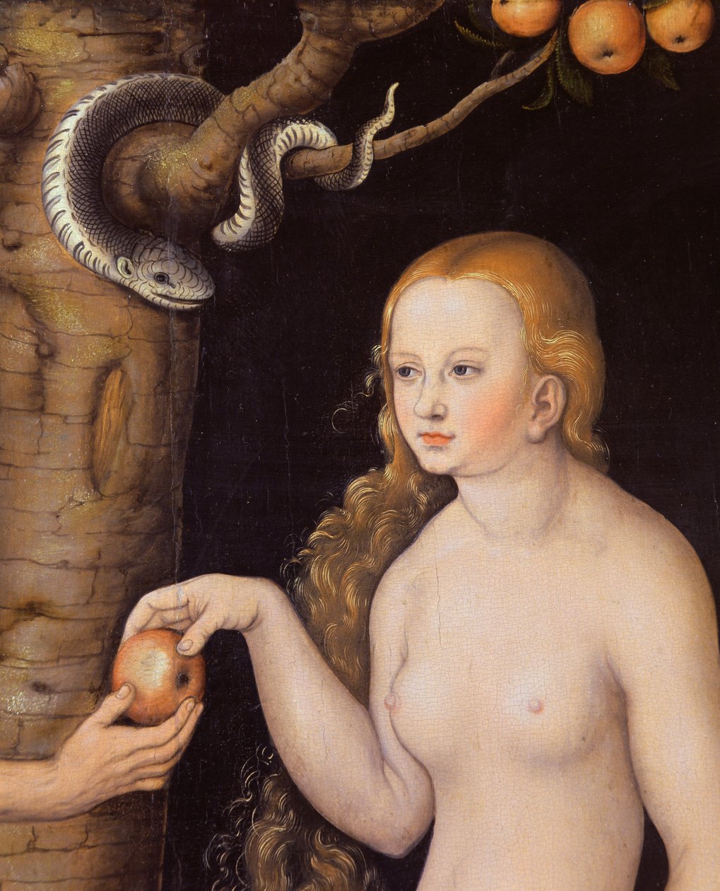 Eva oferecendo a maçã para Adão no Jardim do Éden e a serpente, c.1520-25 óleo sobre madeira detalhe de 407328 de Lucas Cranach the Elder