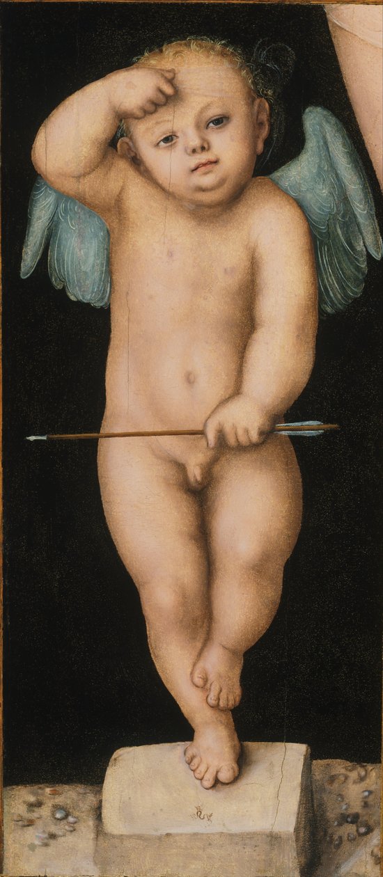 cupido de Lucas Cranach the Elder