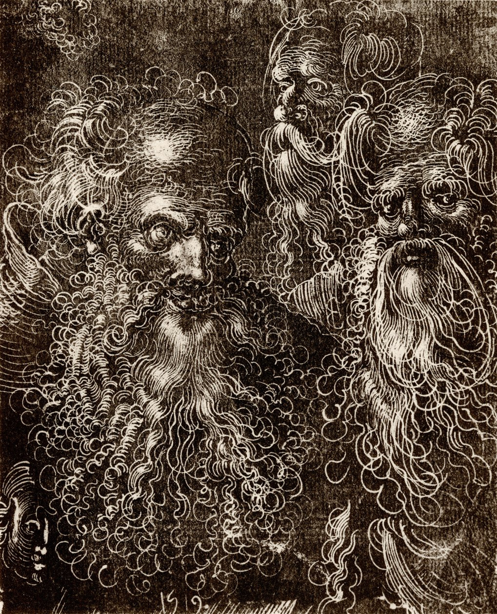 Vários estudos de cabeça de Lucas (school of) Cranach