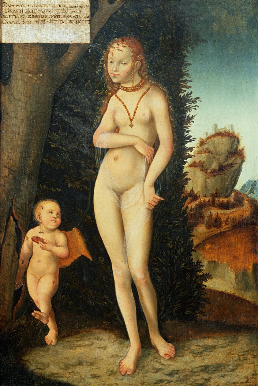 Imagem desconhecida de Lucas Cranach