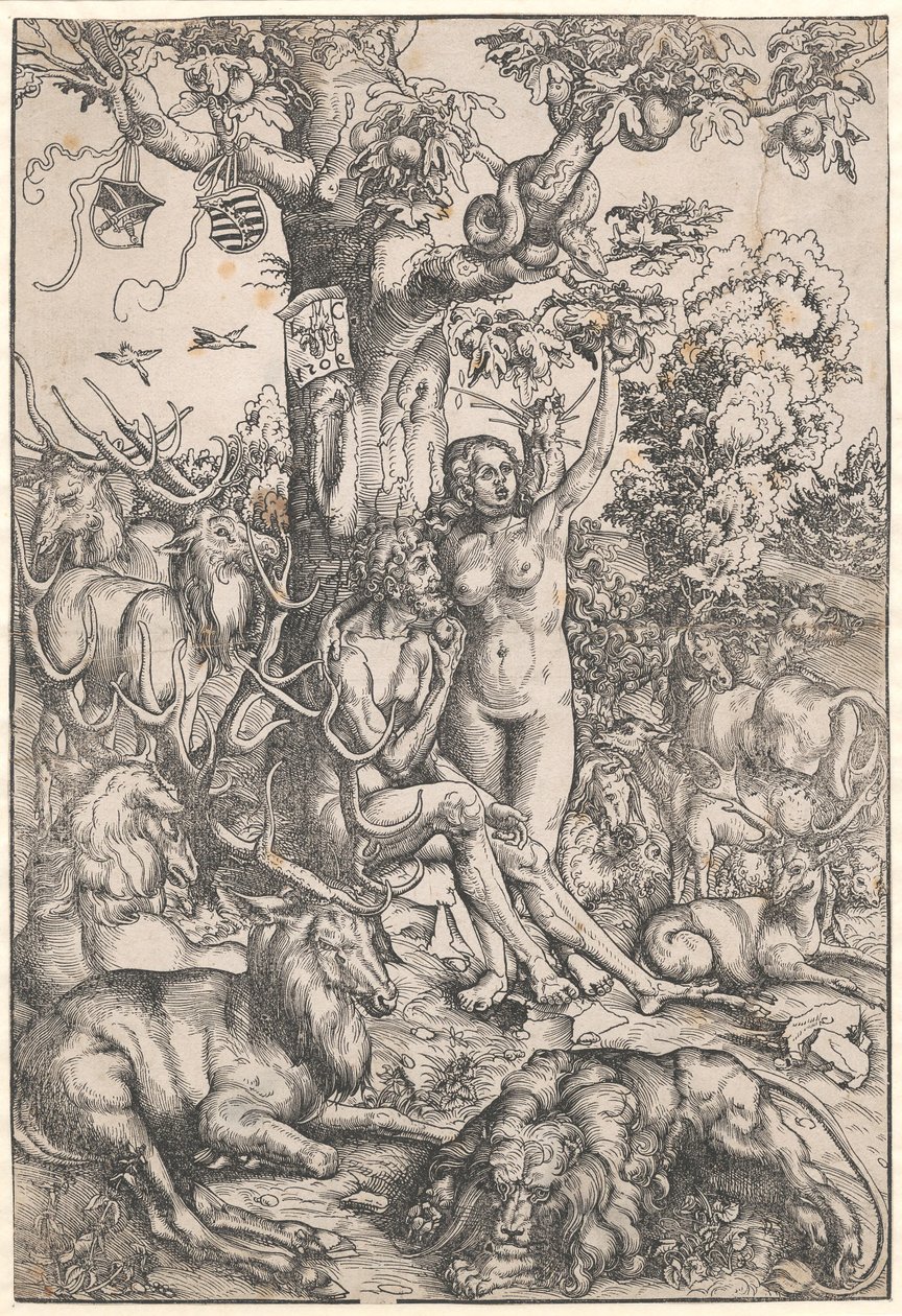 A queda do homem de Lucas Cranach d.Æ.