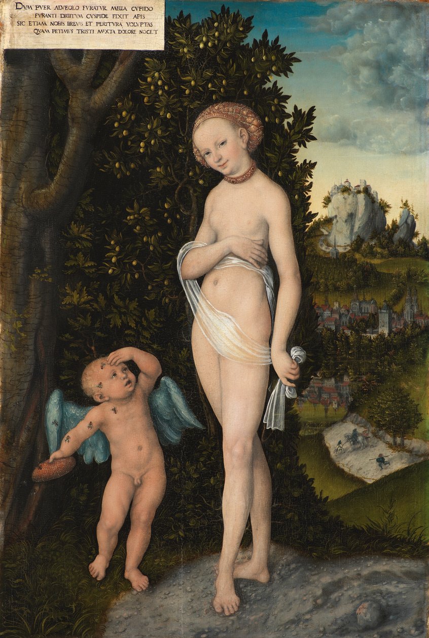 Vênus com Cupido roubando mel de Lucas Cranach d.Æ.