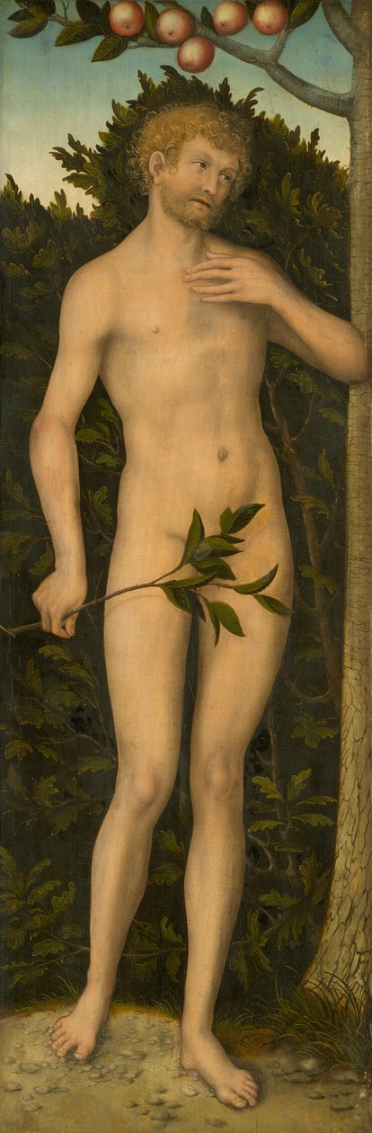 Adão de Lucas Cranach the Elder
