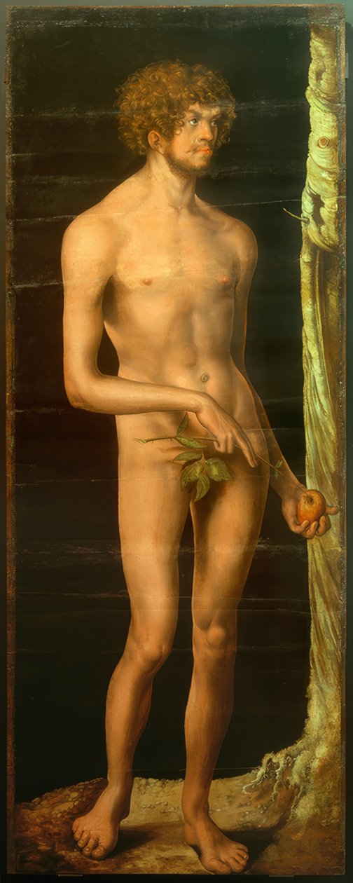 Adão de Lucas Cranach the Elder