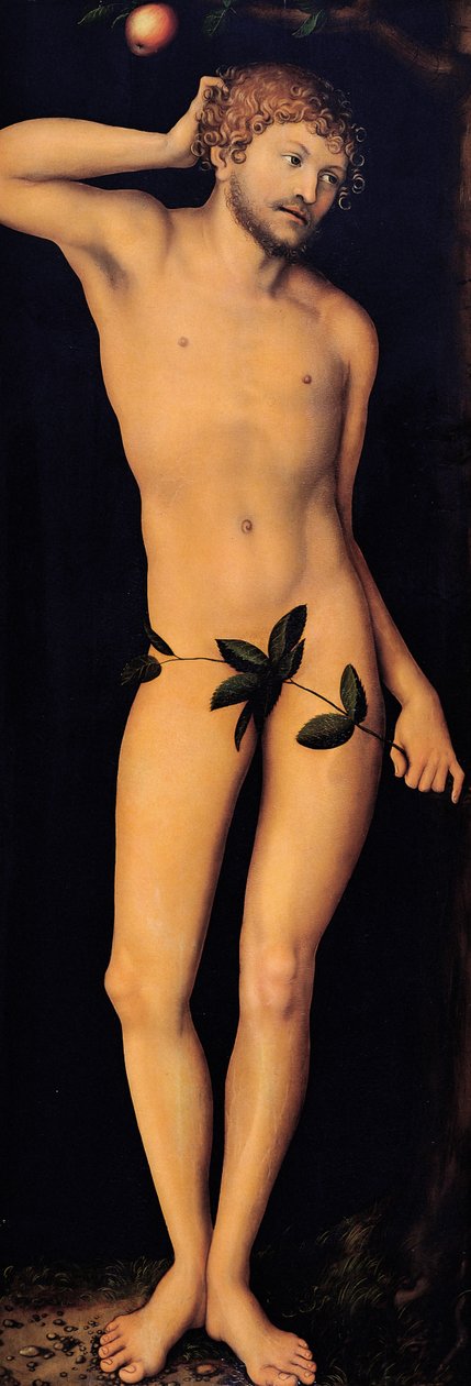 Adão, 1528. de Lucas Cranach the Elder