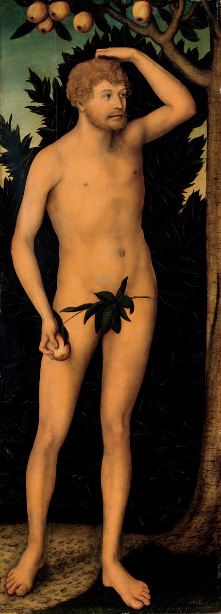 Adão, depois de 1537 de Lucas Cranach the Elder