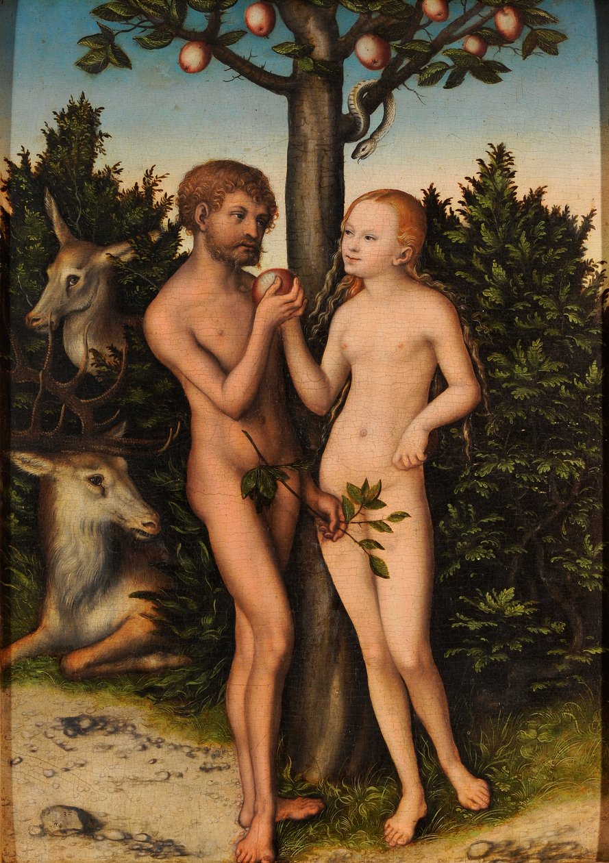 Adão e Eva







































 / A queda do homem de Lucas Cranach the Elder