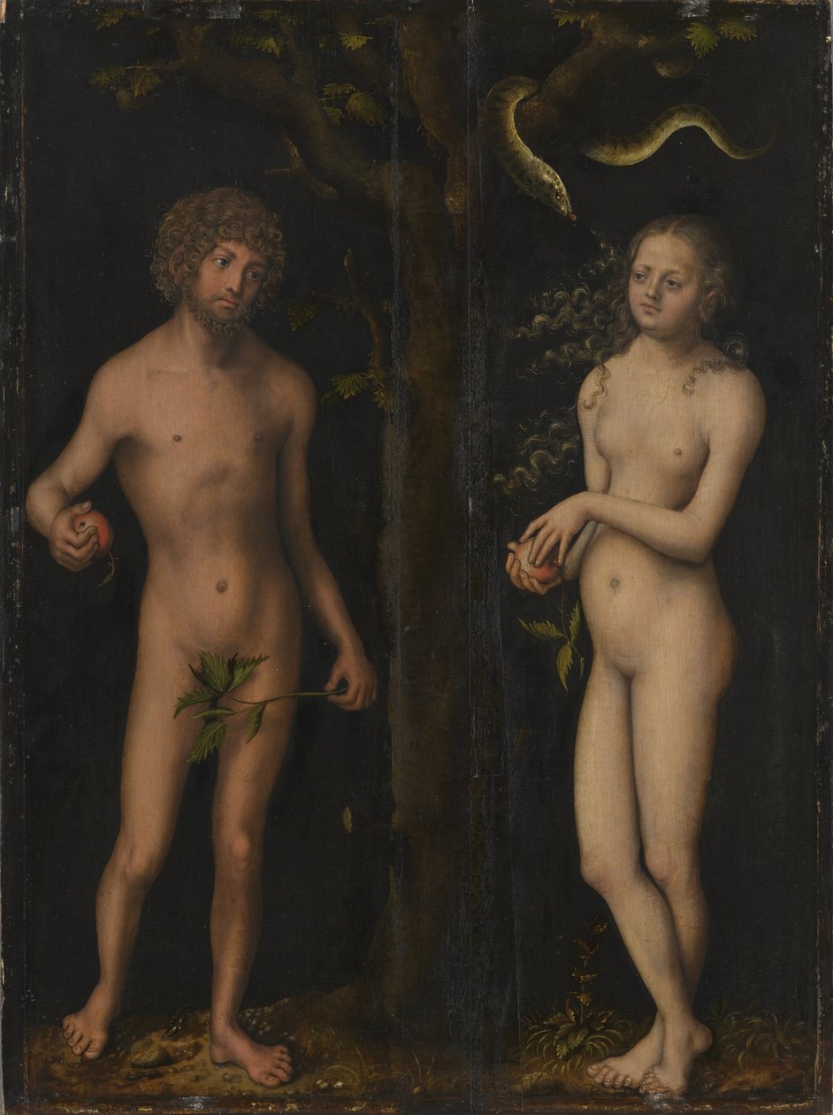 Alemão: Adam und Eva Adam and Eve de Lucas Cranach the Elder