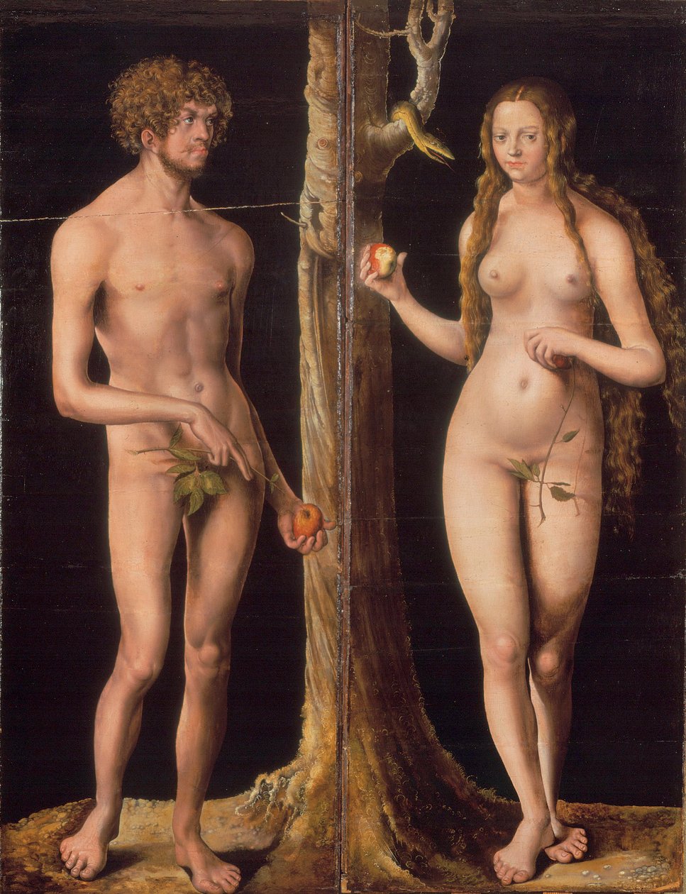 Alemão: Adam und Eva Adam and Eve de Lucas Cranach the Elder