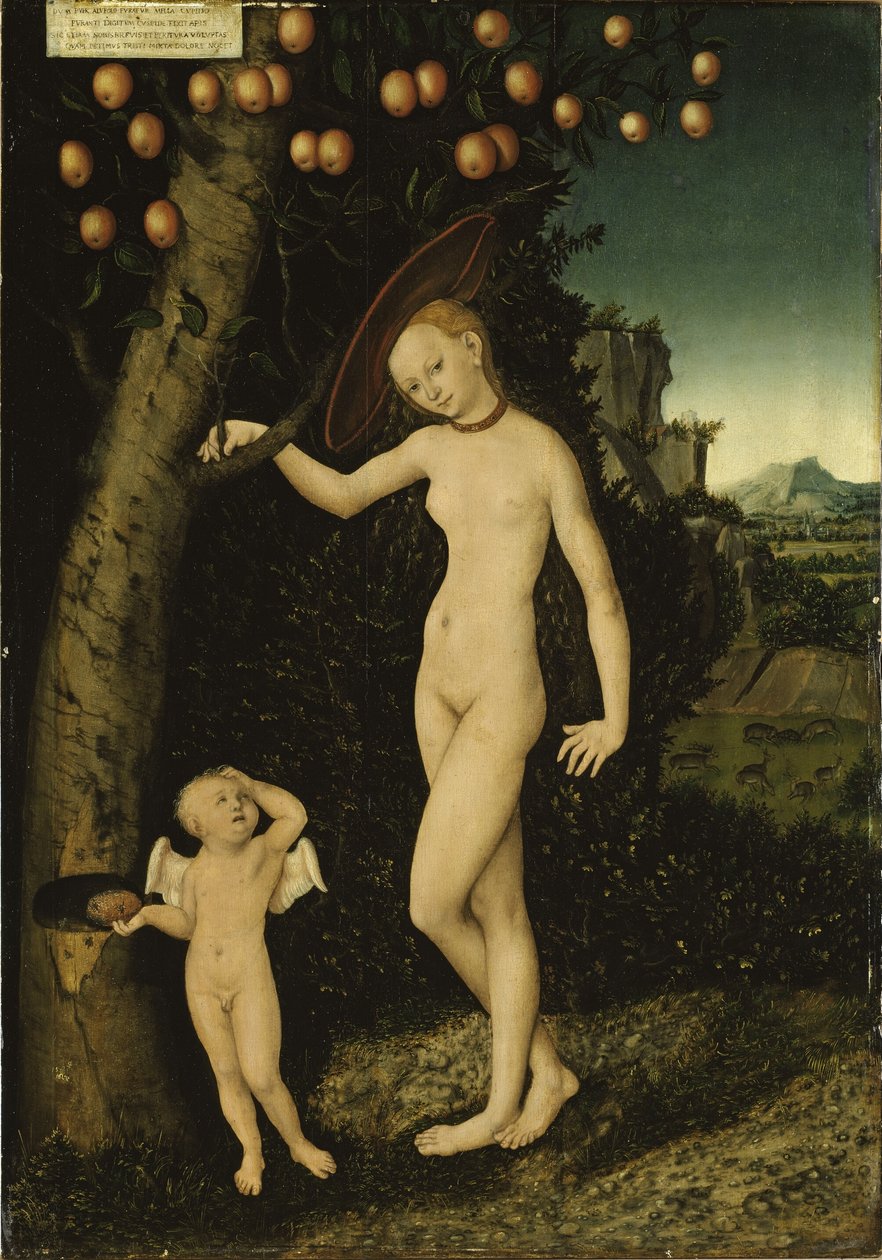Alemão: Venus mit Amor als Honigdieb Vénus e Cupido como ladrão de mel de Lucas Cranach the Elder