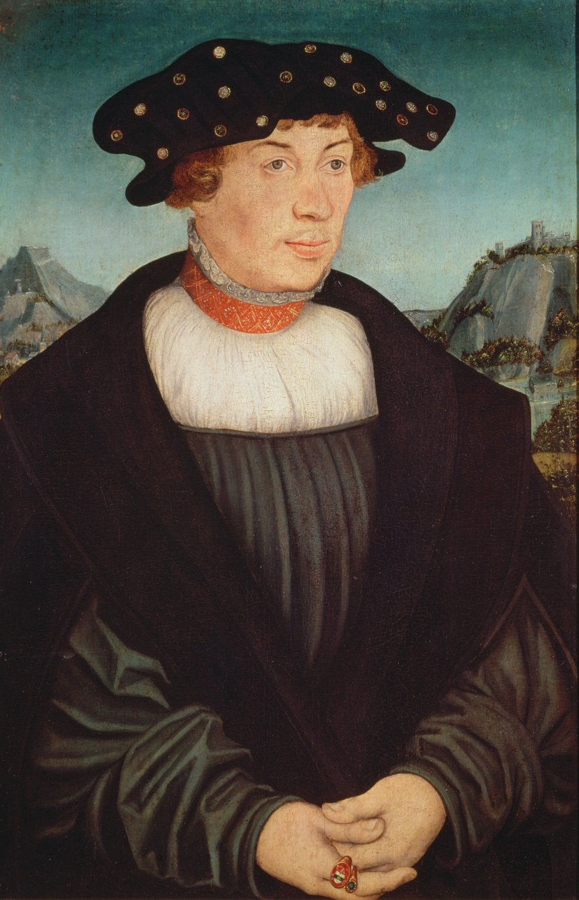 Retrato de Hans Melber, 1526 de Lucas Cranach the Elder