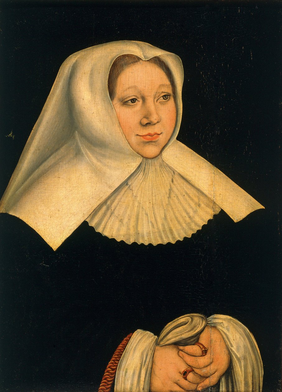 Retrato de Margaret of Austria 1480-1530, ca 1530 de Lucas Cranach the Elder