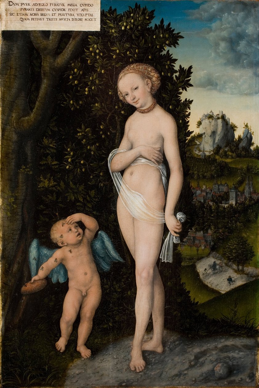 Vénus e Cupido, o ladrão de mel de Lucas Cranach the Elder