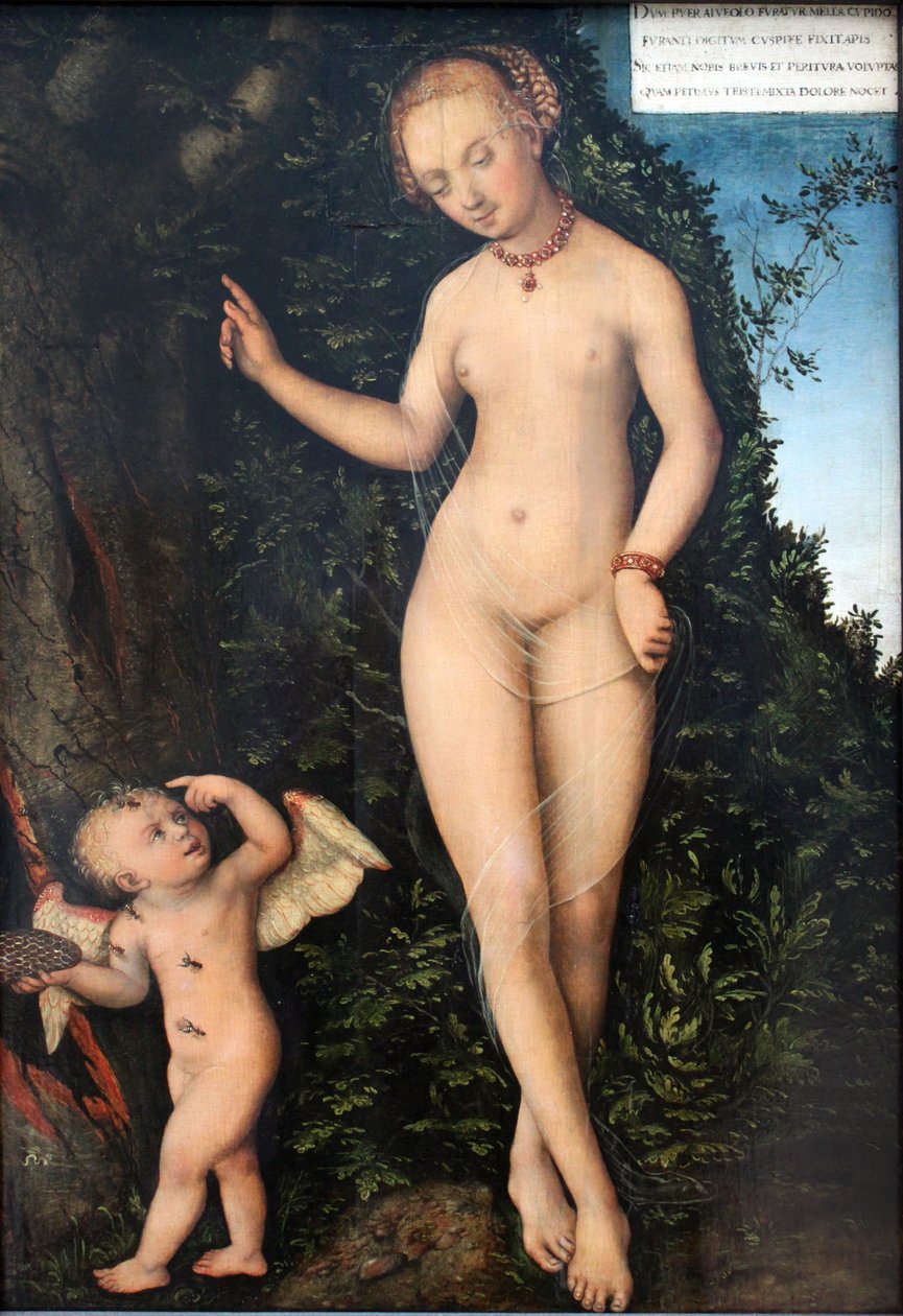 Vénus e Cupido, o ladrão de mel de Lucas Cranach the Elder