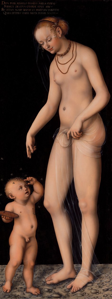 Vénus com Cupido como ladrão de mel de Lucas Cranach the Elder