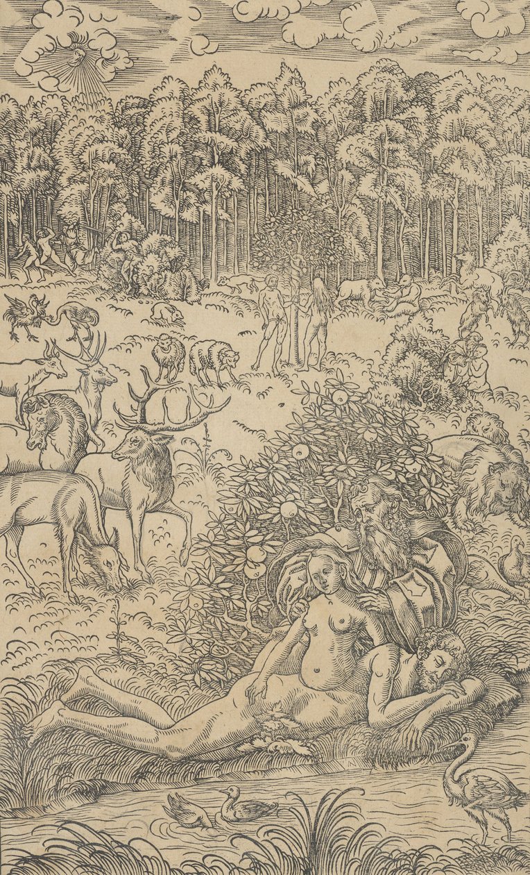 A Criação de Eva de Lucas Cranach the Younger  