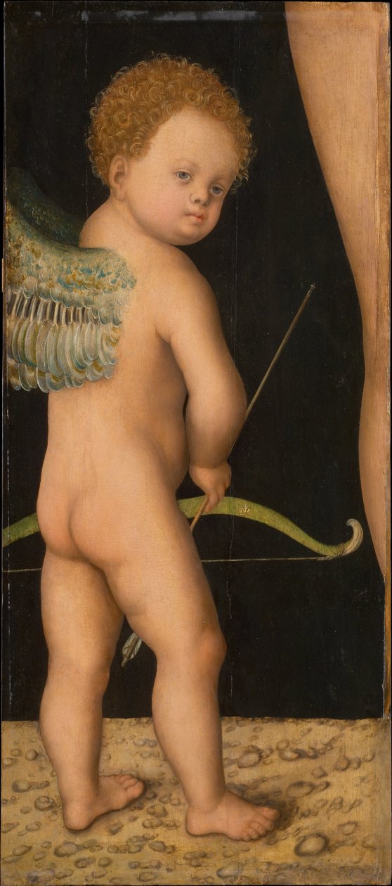Amour - Amor, de Cranach, Lucas, o Ancião (1472-1553). Óleo sobre madeira, ca. 1530. Dimensão : 81x36 cm. Museu de História de Arte, Vienne de Lucas the Elder Cranach