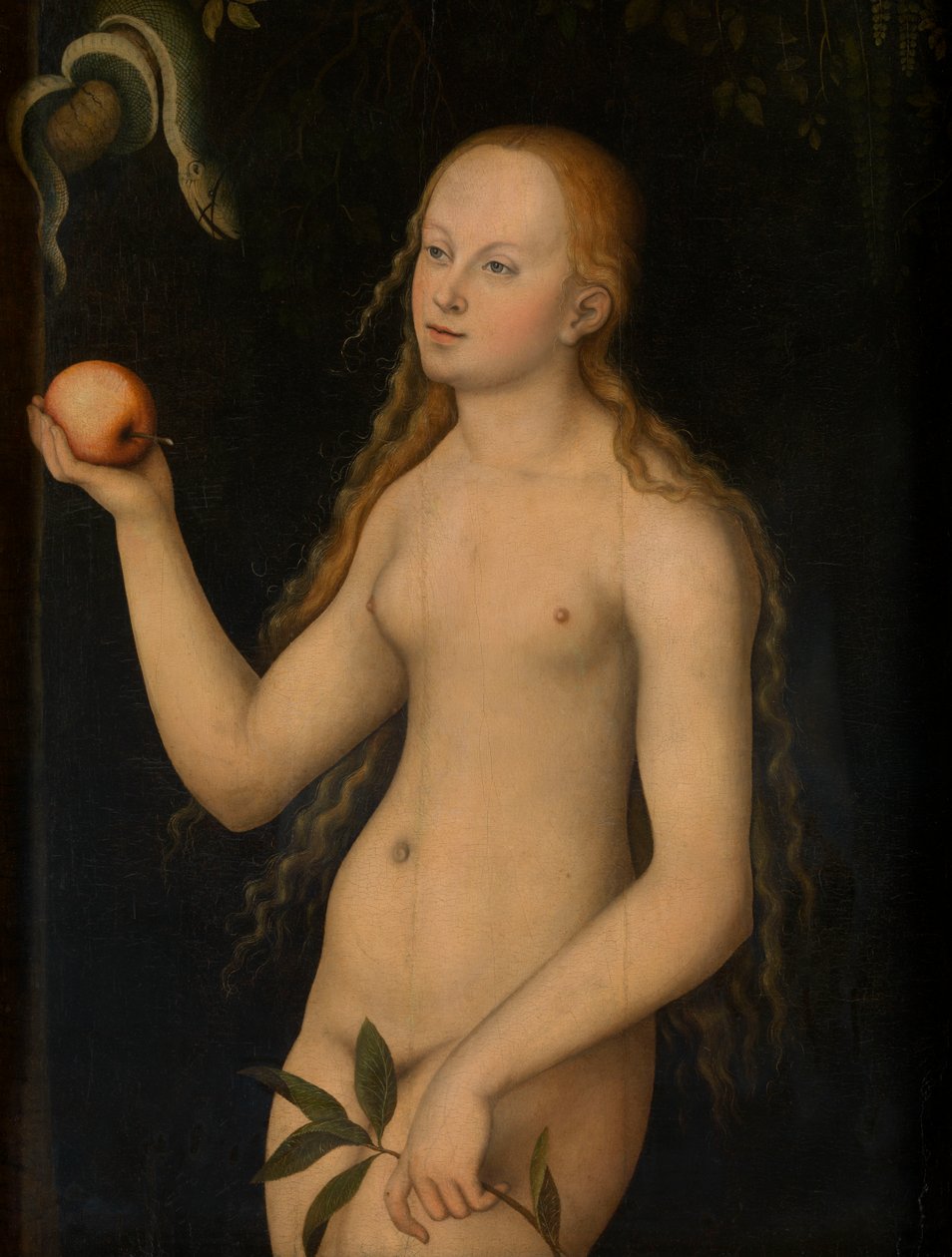 Eve (óleo sobre painel) de Lucas the Elder Cranach
