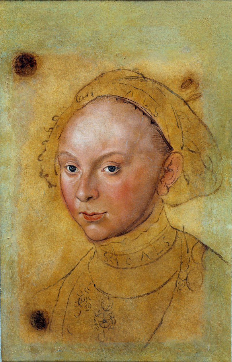 Retrato de Catherine de Brunswick Grubenhagen Pintura de Lucas Cranach (1472-1553) de Lucas the Elder Cranach