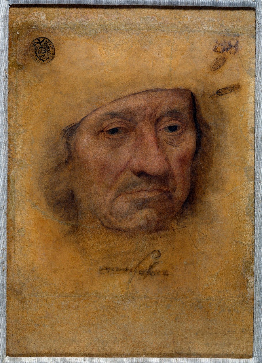 Retrato do Doutor Petrus von Clapis Desenho no pastel de Bruyn da Escola de Lucas Cranach, o Antigo (ou o Ancião de Lucas the Elder Cranach