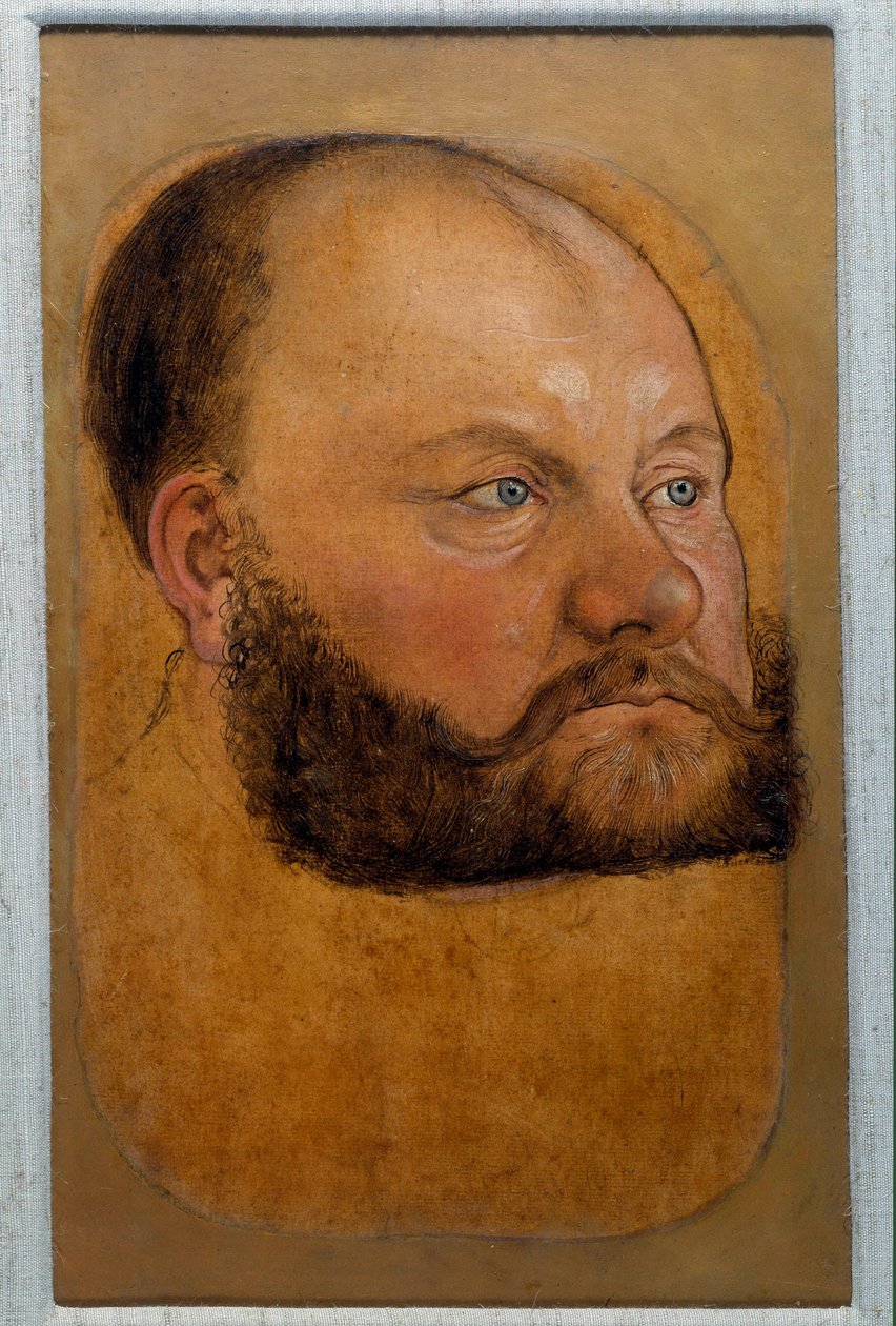 Retrato do Príncipe Wolf Anhalt da Saxônia, Príncipe do Pastel Reformador, desenho de Lucas Cranach, o Antigo (ou o Ancião de Lucas the Elder Cranach