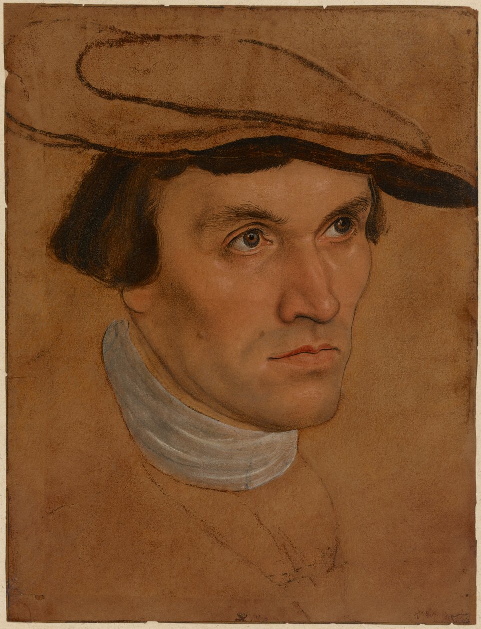 Retrato de um homem, c.1530 (óleo sobre papel) de Lucas the Elder Cranach