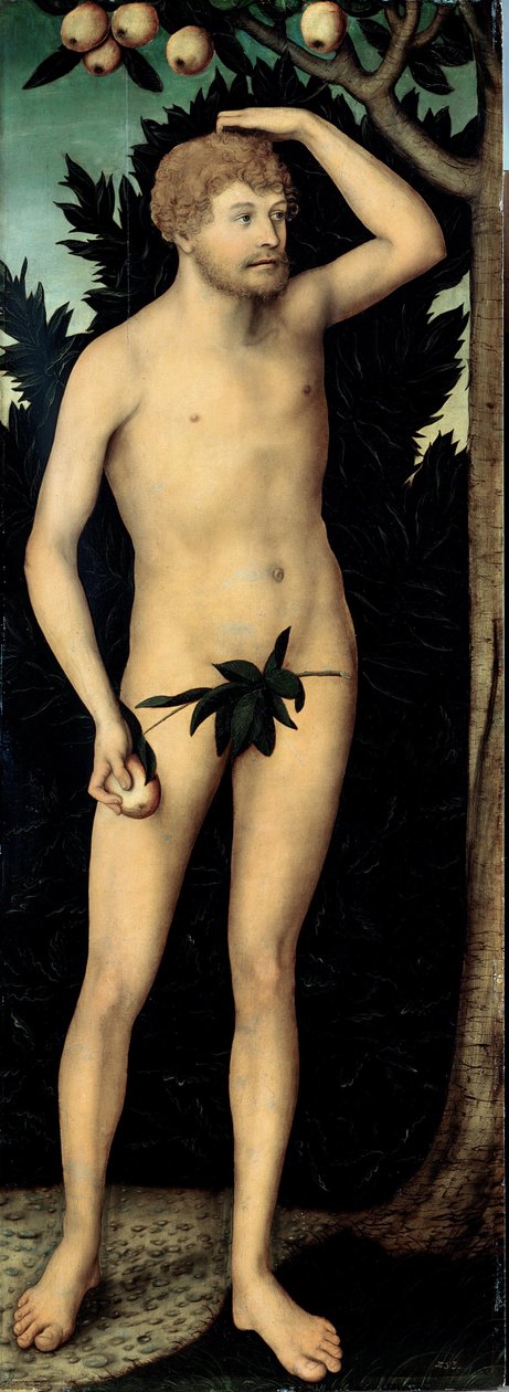 ""Adam"" Pintura de Lucas Cranach II, o mais novo (1515-1586) Depois de 1537 Dim 171 x 63 cm Alemanha Coleções de Arte Estatal de Dresden de Lucas the Younger Cranach