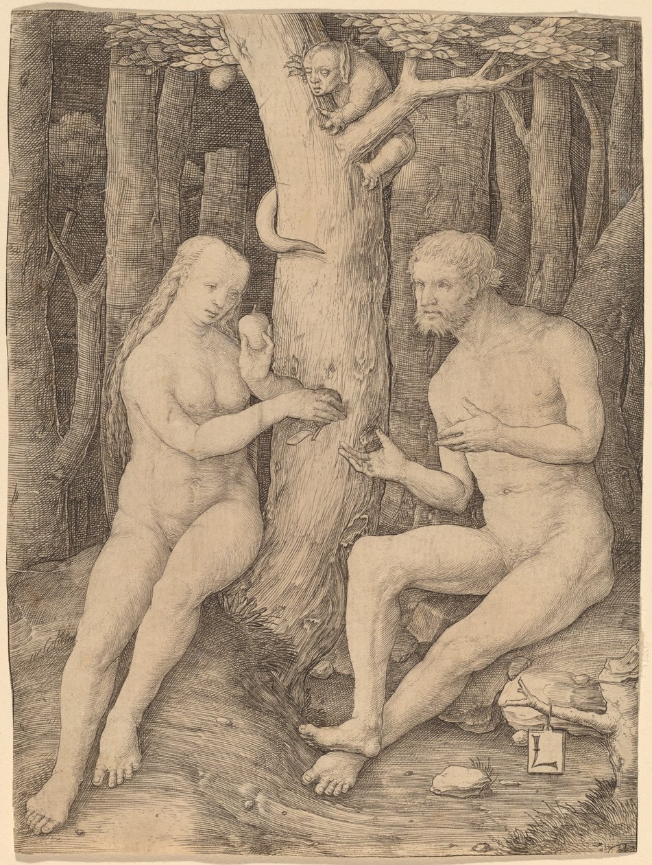 A queda do homem de Lucas van Leyden