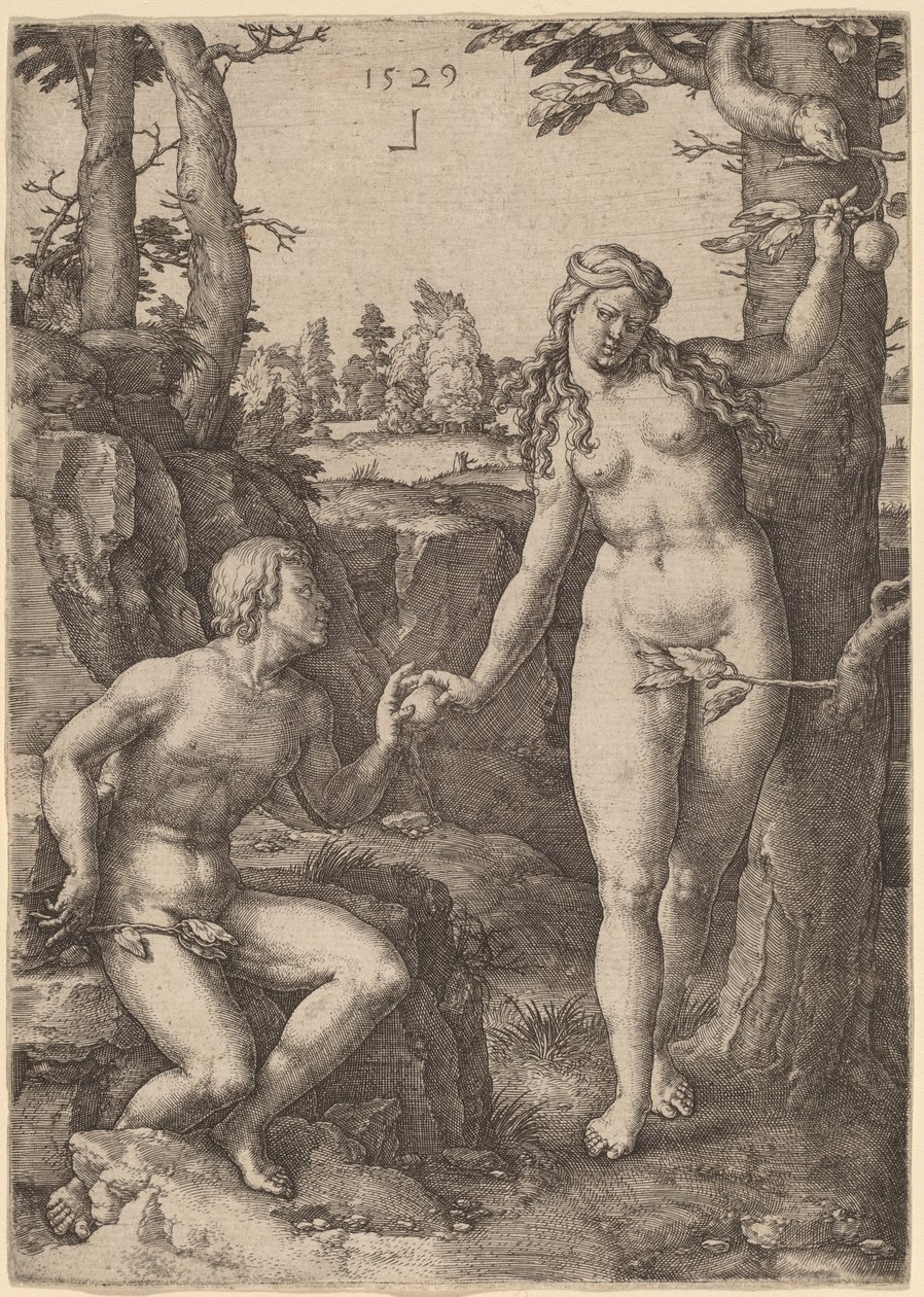 A queda do homem de Lucas van Leyden