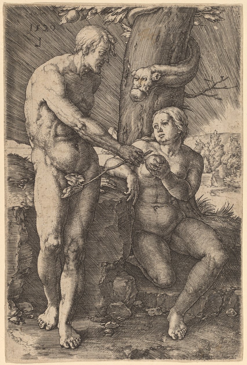 A queda do homem de Lucas van Leyden