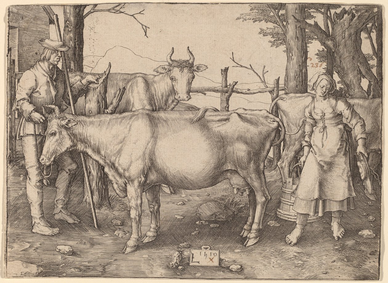 A leiteira de Lucas van Leyden