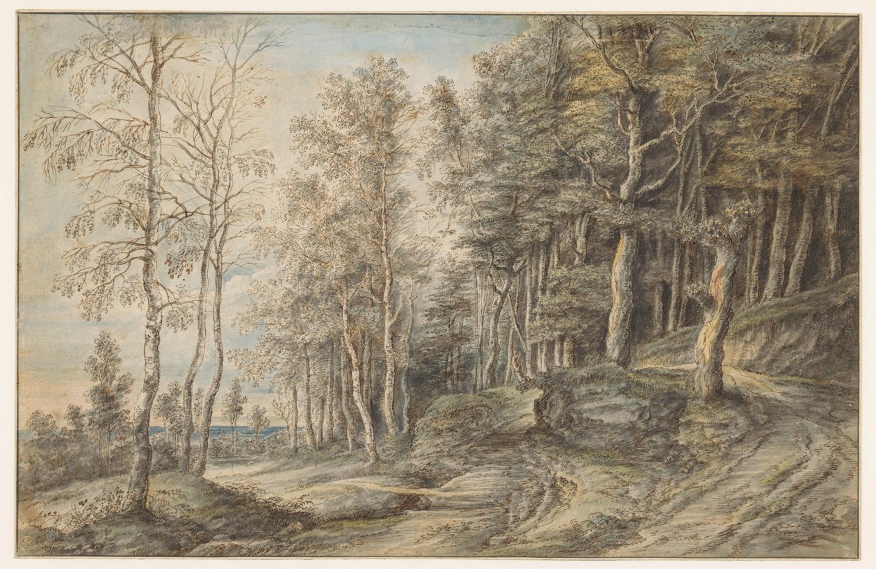 Paisagem florestal de Lucas van Uden
