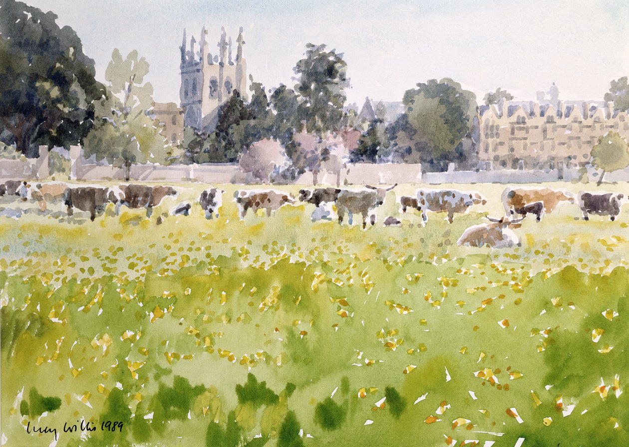 Olhando Across Christ Church Meadows, 1989 (wc no papel) de Lucy Willis
