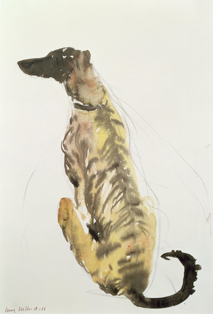Lurcher Sitting, 1988 (carvão e wc no papel) de Lucy Willis