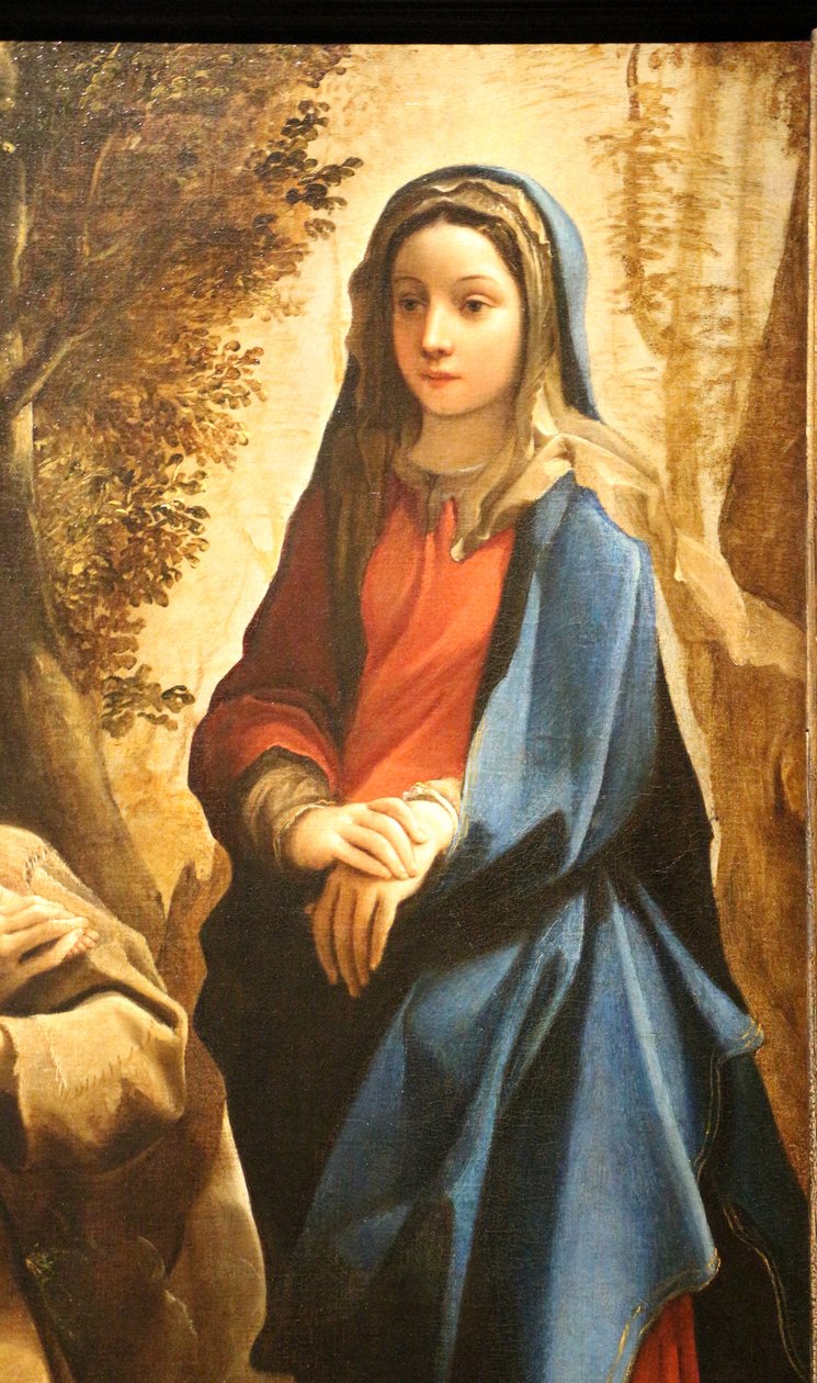 Holandês: Visão de Santo António de Pádua ou de São Francisco de Assis A visão de São Francisco de Assis de Ludovico Carracci
