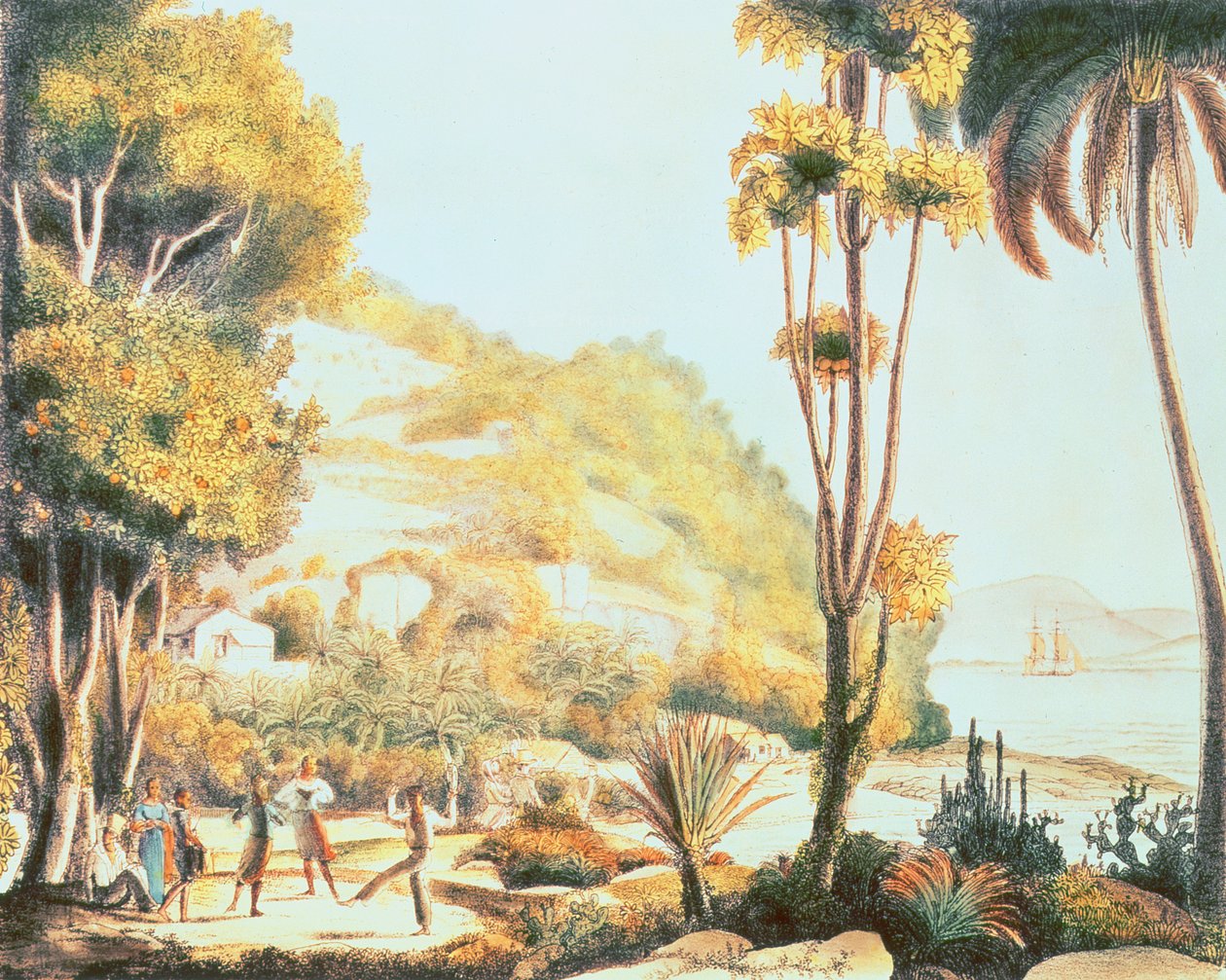 Vista da costa do Brasil em frente à ilha de Santa Catarina, c.1825 de Ludwig Choris