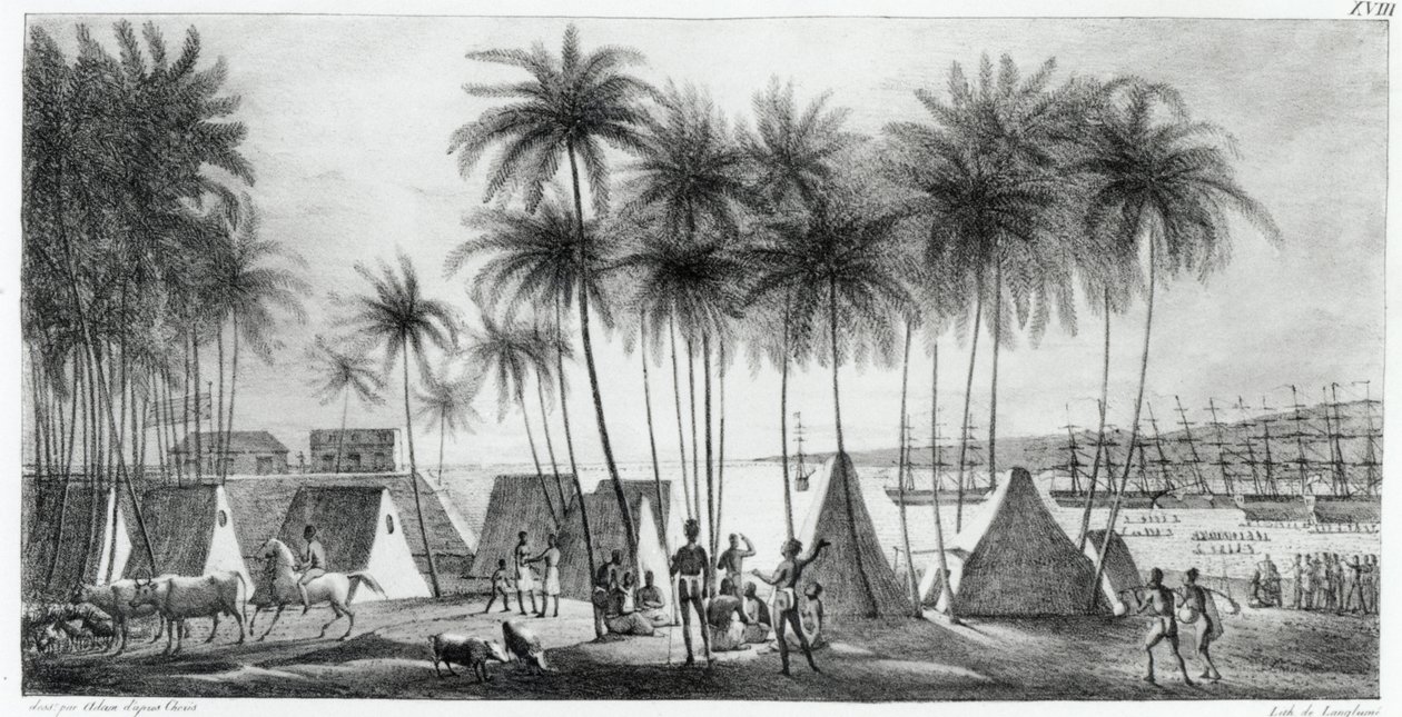 Porto de Hanarourou nas Ilhas Sandwich, de "Viagem pitoresca ao redor do mundo", gravado por G. Langlume (fl.1822-40) 1822 de Ludwig Choris