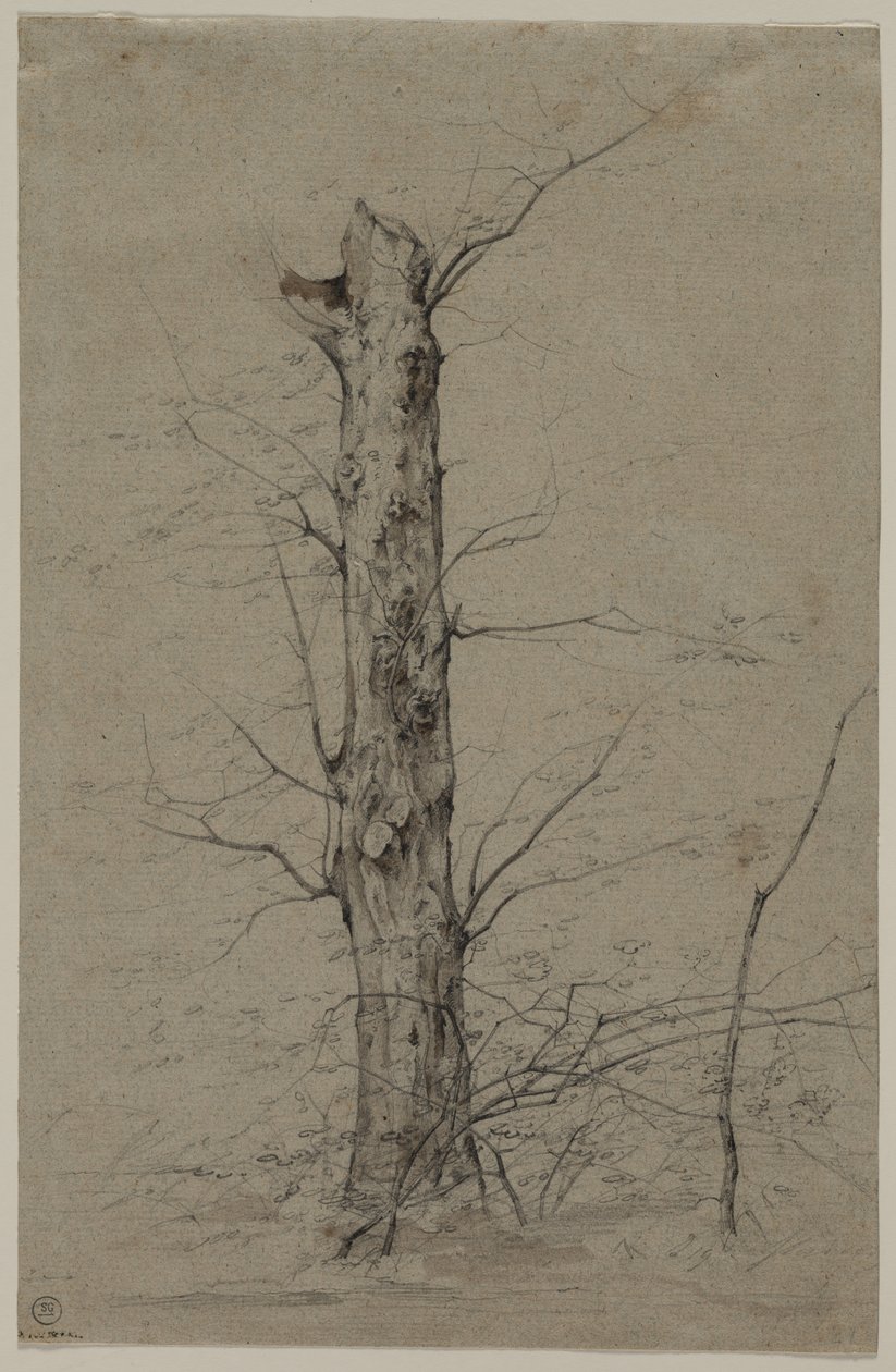 Árvore de Ludwig Ferdinand Schnorr von Carolsfeld