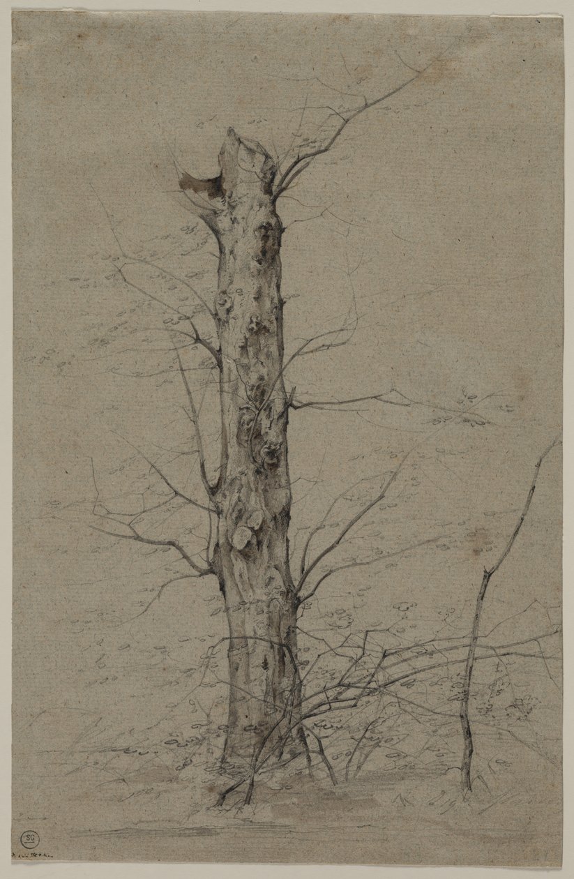 Árvore c. 1835-45. de Ludwig Ferdinand Schnorr von Carolsfeld