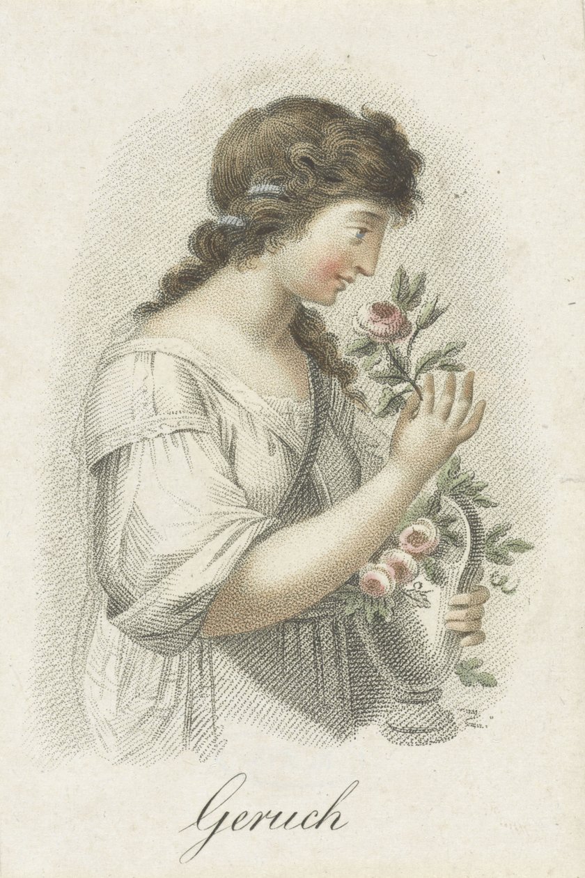 Cheiro Rumor (título no objeto) Cinco sentidos representados por figuras femininas (título da série) Die Funf Sinne (título da série) de Ludwig Gottlieb Portman