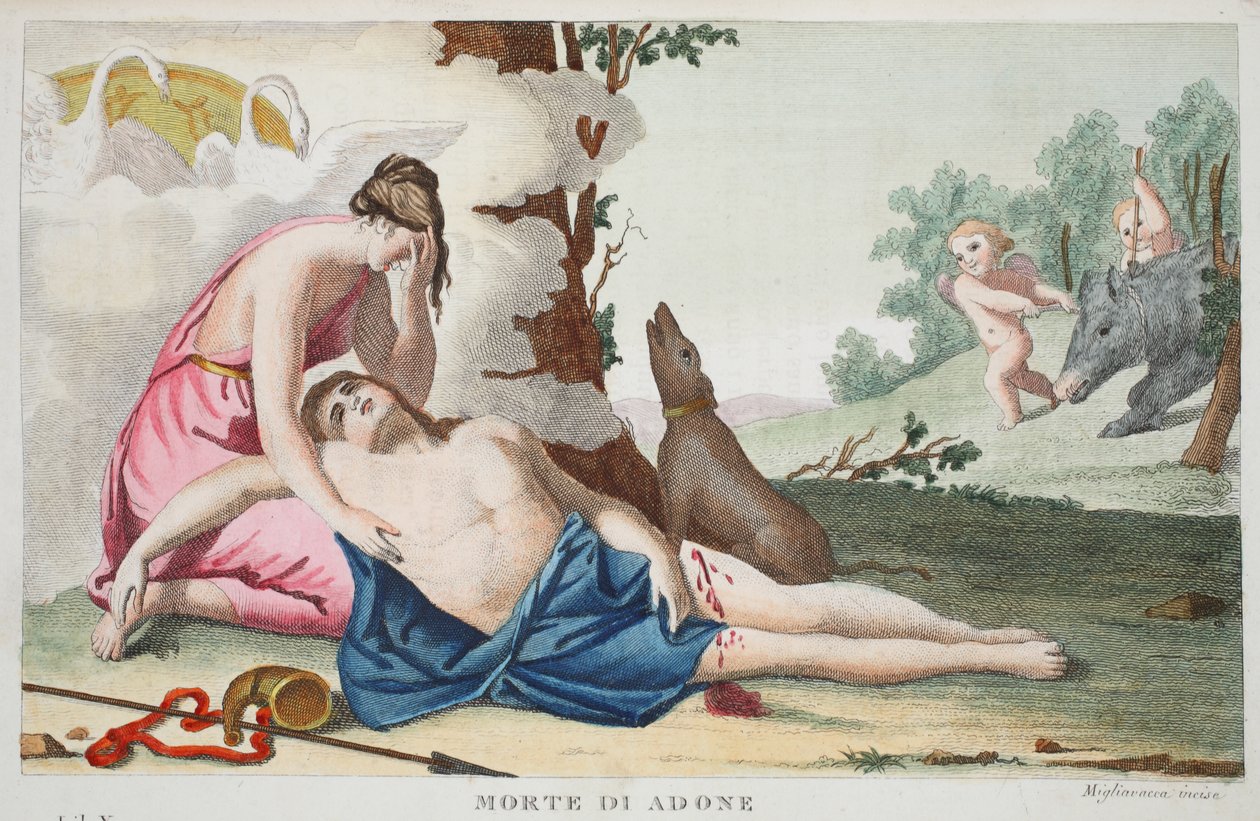 Morte de Adonis ou Morte di Adone, Livro X, ilustração de Metamorfoses de Ovídio, Florença, 1832 (gravura colorida à mão) de Luigi Ademollo