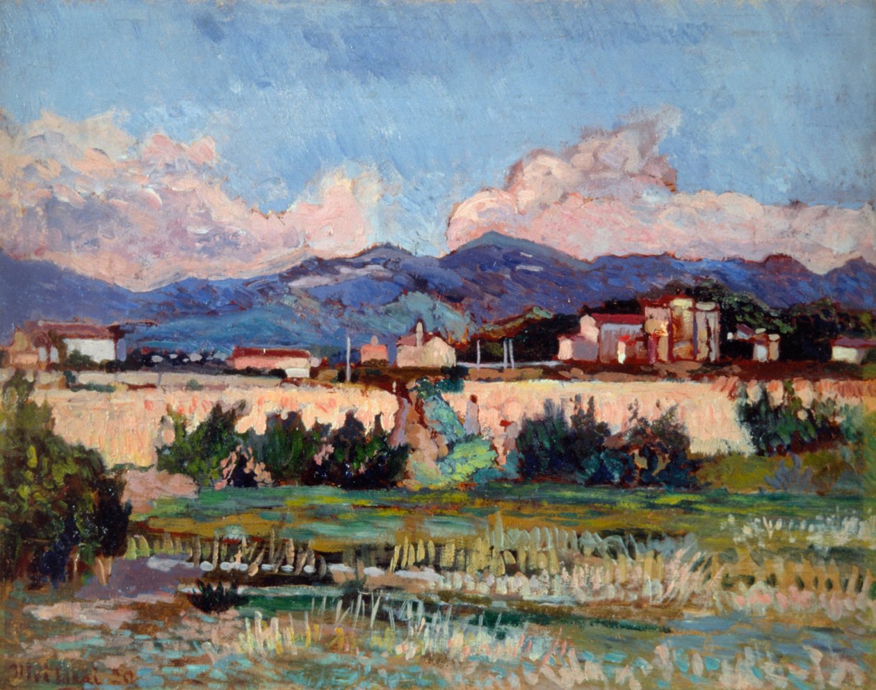 Casas e jardins em Ardenza, de Ulvi Liegi (1858-1939), óleo a bordo, 27x34 cm de Luigi Levi