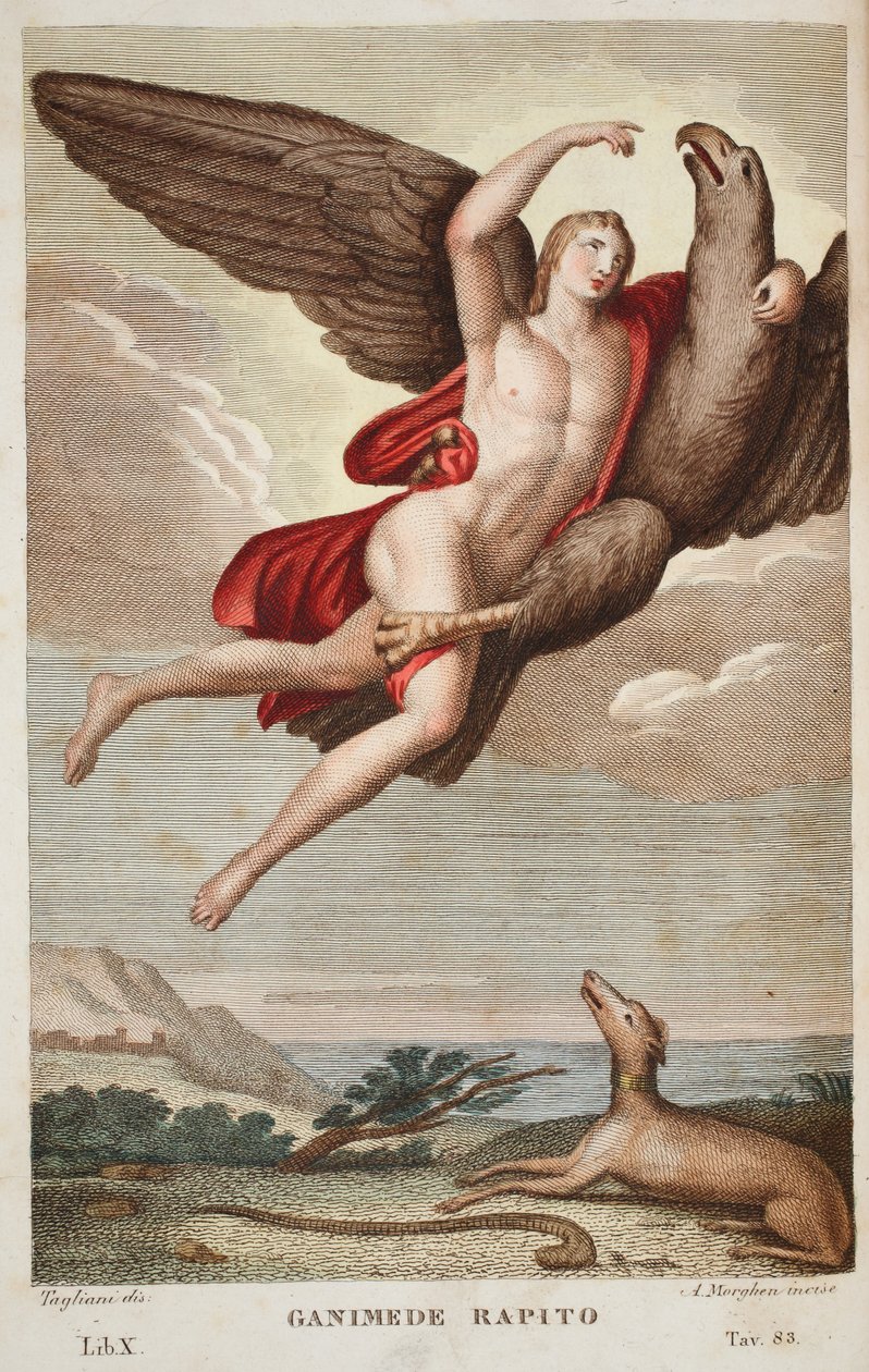 Ganimedes foi levado para o Céu ou Ganimedes Rapito, Livro X, ilustração de Metamorfoses de Ovídio, Florença, 1832 (gravura colorida à mão) de Luigi Ademollo